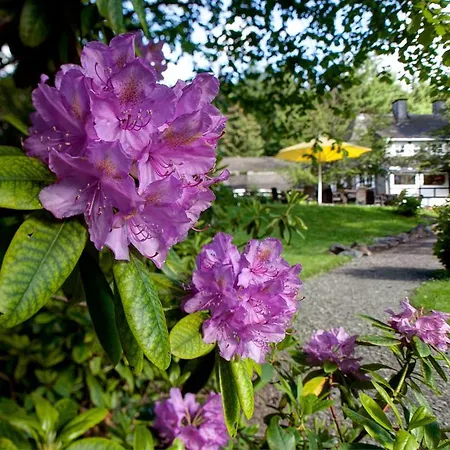 Romantik Stryckhaus Szálloda Willingen