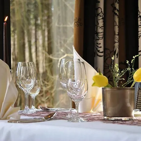 Otel Romantik Stryckhaus Willingen (Upland)