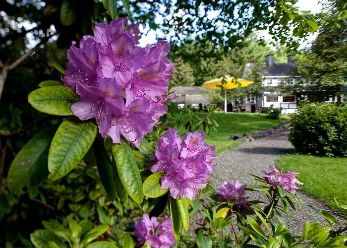Romantik Stryckhaus Szálloda Willingen